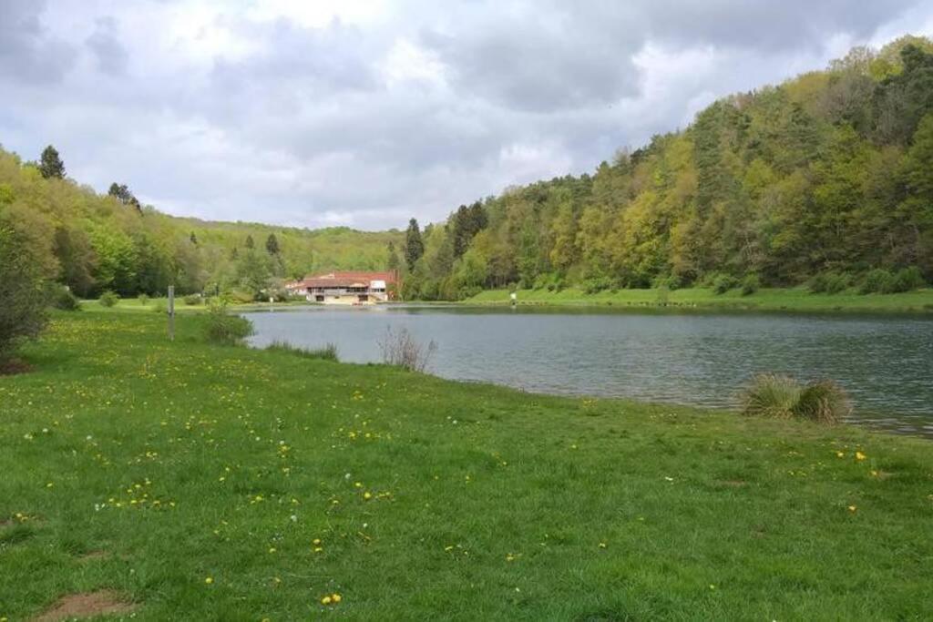 Le Repaire Des Herissons Vallee De Rabais Виртон Экстерьер фото